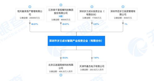 百歲蘭投資失聯與監管漏洞下的企業風險警示