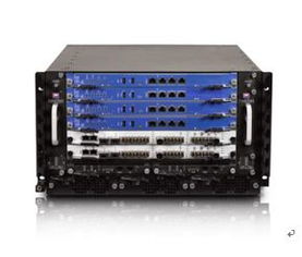 網絡空間擬態防御家族的隊列 互聯網域名根服務器運行安全保障體系